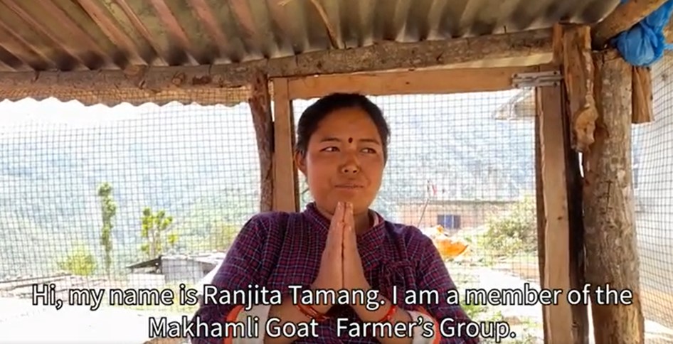 ADRA Nepal's FOSTER II Goat Activities